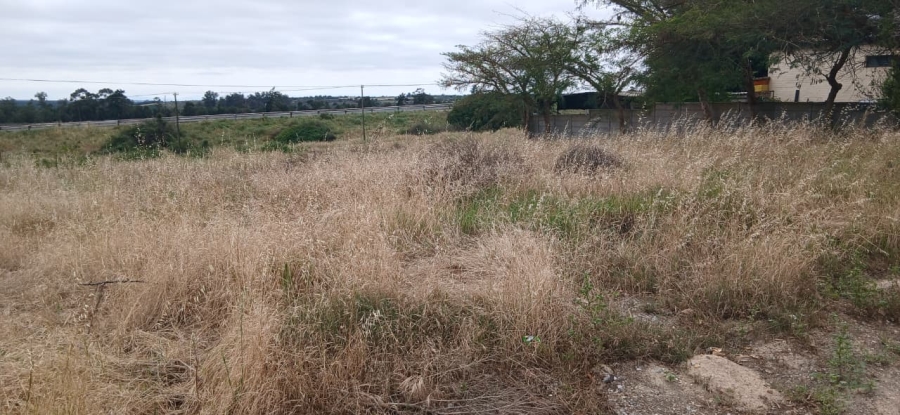 0 Bedroom Property for Sale in Hopefield Western Cape